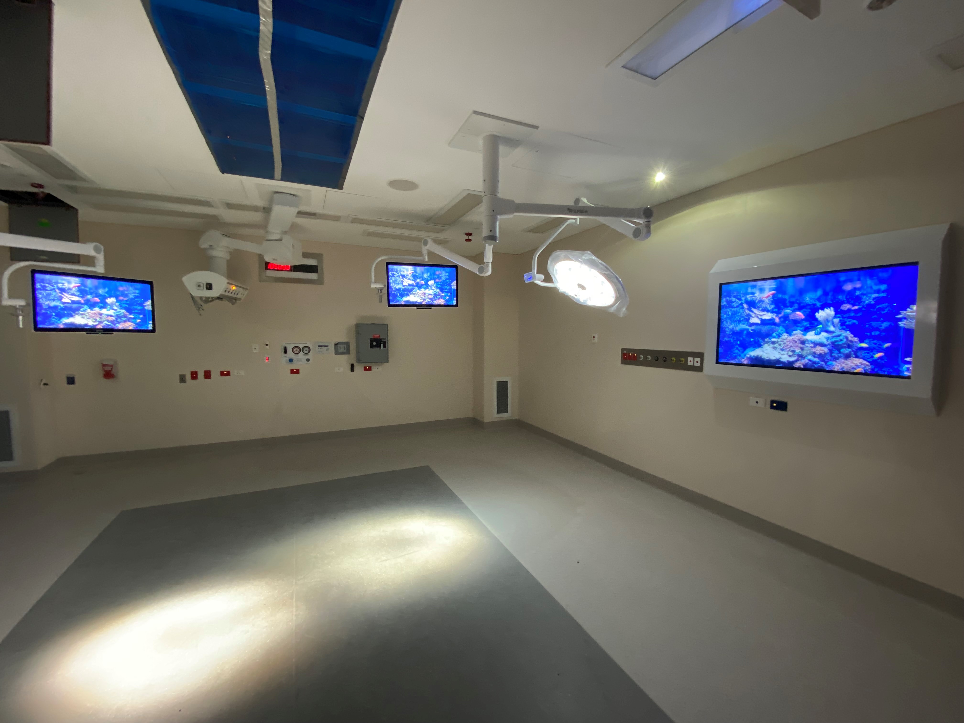 Project Newsletter October 2024